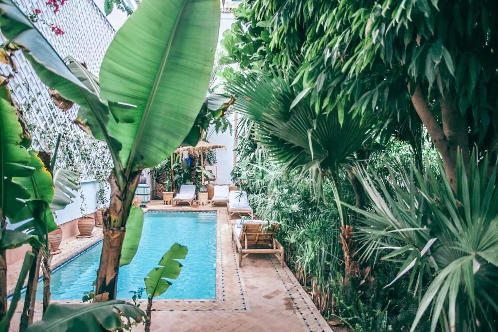 A pool surrounded by tropical plants and trees.