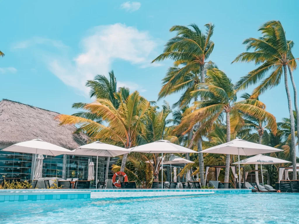A swimming pool with umbrellas and palm trees.